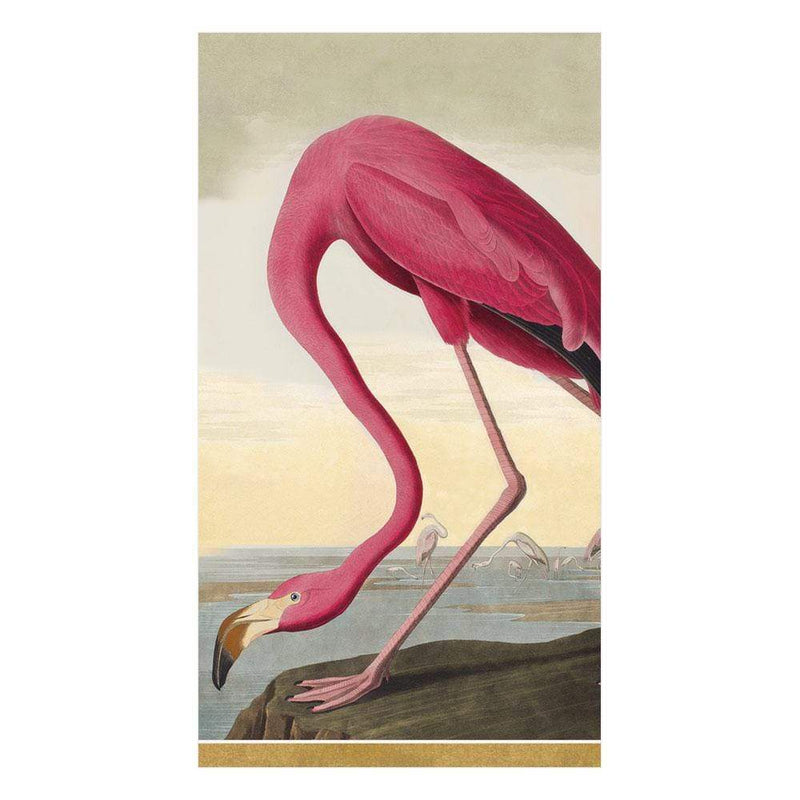 caspari Audubon Birds Paper Guest Towel Napkins - 15 Per Package
