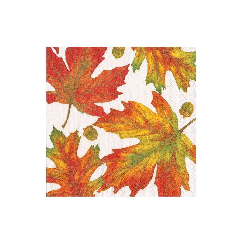 caspari Autumn Hues White Boxed Cocktail Napkins - 40 Per Box