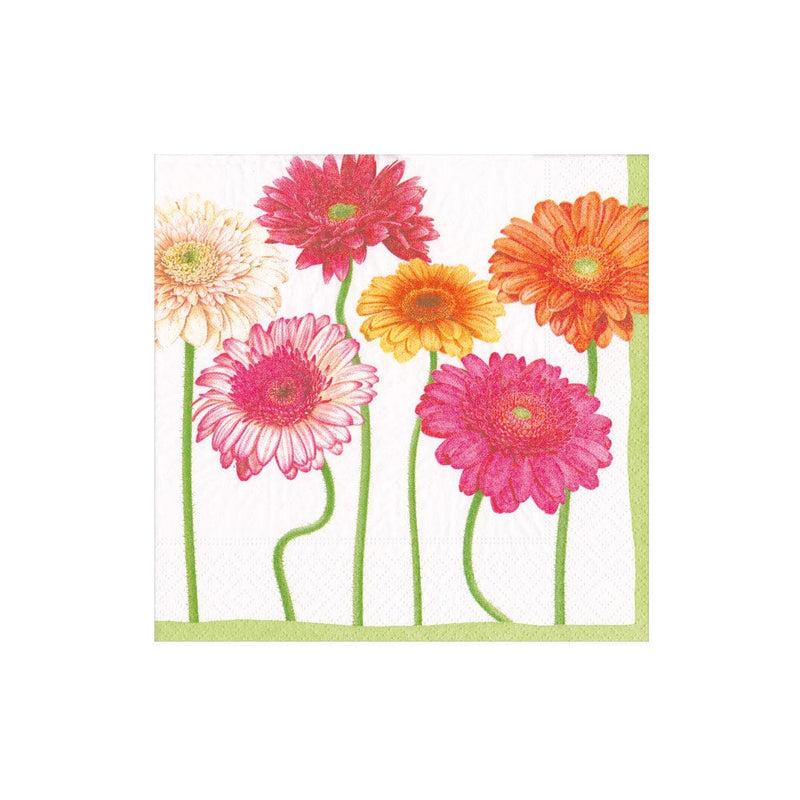 Caspari Blooming Daisy Boxed Cocktail Napkins - 40 Per Box