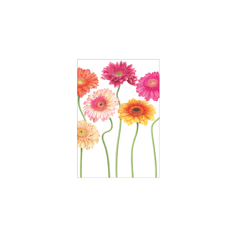 Caspari Botanical Blank - Set Of Six Greeting Cards And Envelopes