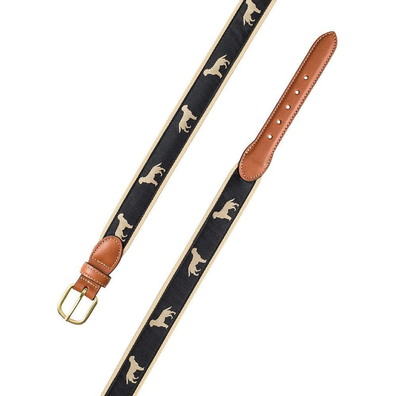 Caspari Golden Dog Motif Belt