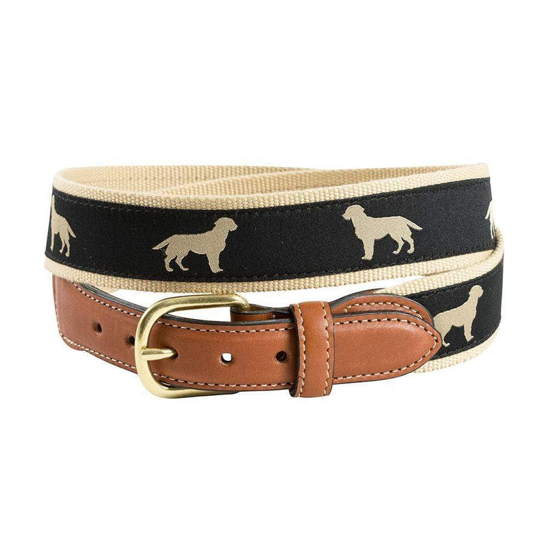 caspari Golden Dog Motif Belt
