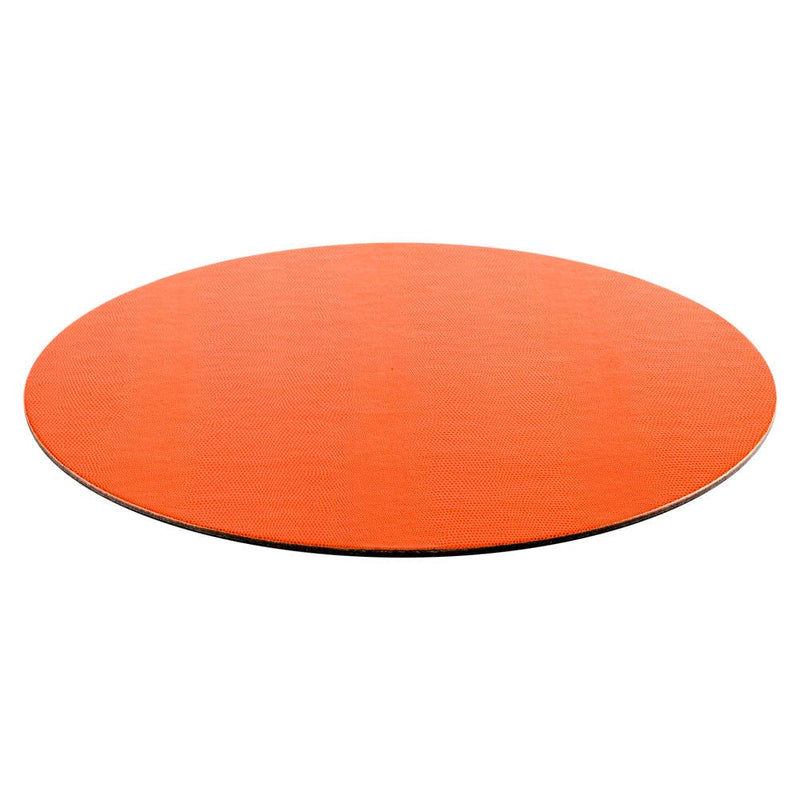 Caspari Orange Lizard Felt-Backed Placemats - 1 Each