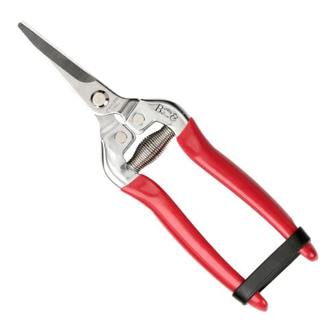Caspari Snip And Holster In British Bloom - 1 Each