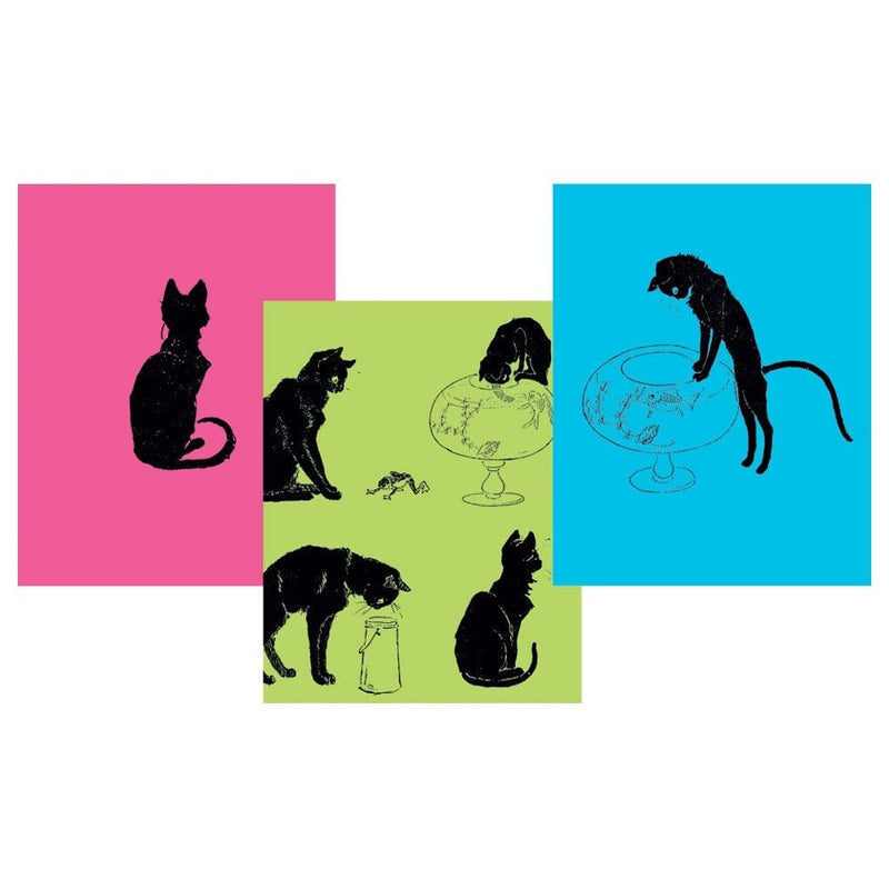 Caspari Cats: Pictures Without Words Assorted Boxed Note Cards - 10 Note Cards & 10 Envelopes