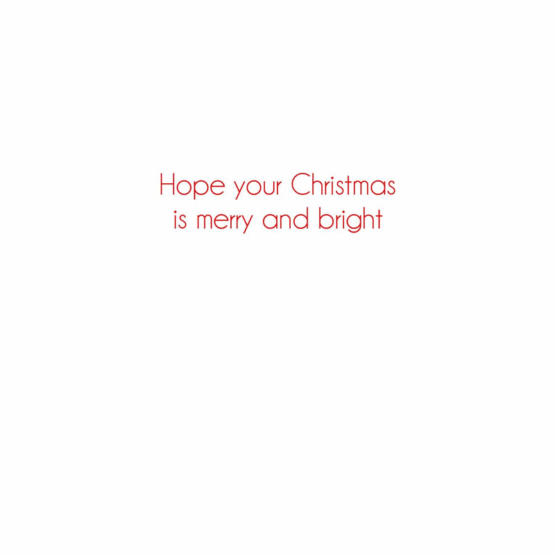 Caspari Christmas Flamingo Boxed Christmas Cards - 15 Cards & 15 Envelopes