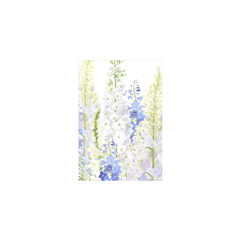 Caspari Classic Blanks - Set Of Six Greeting Cards And Envelopes