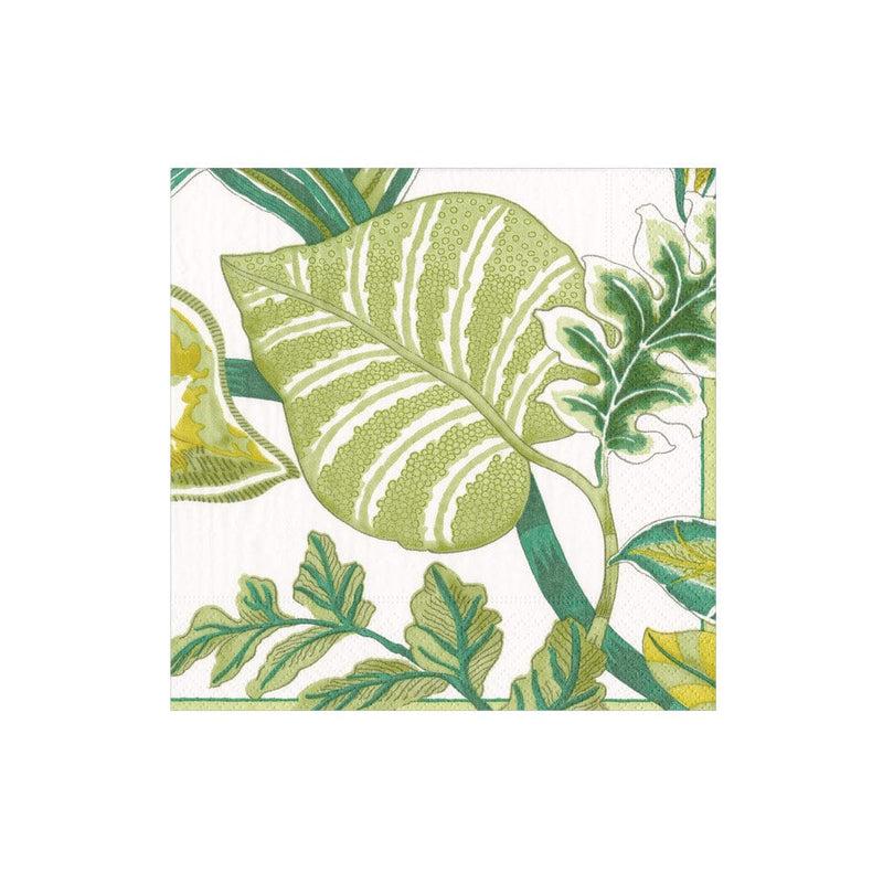 caspari Florida Paper Cocktail Napkins in Ivory - 20 per Package