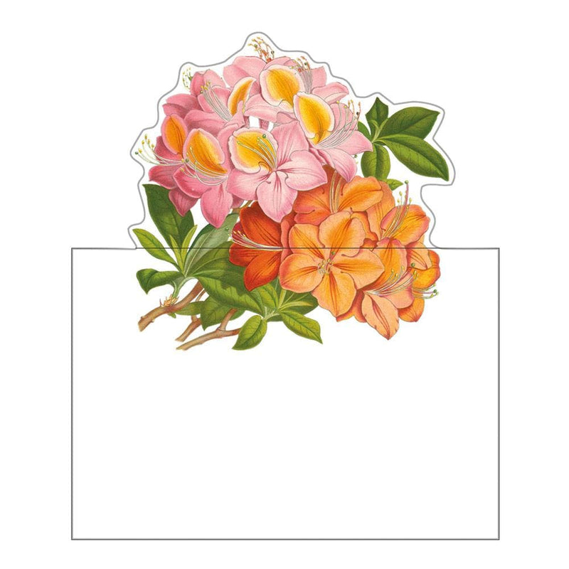 Caspari Jefferson's Garden Study Die-Cut Place Cards - 8 Per Package