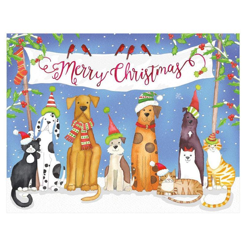 caspari Merry Christmas From Pets Boxed Christmas Cards - 15 Cards & 15 Envelopes