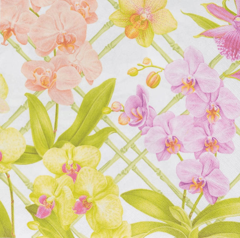 Caspari Orchid Conservatory Dinner Napkins - 20 Per Package