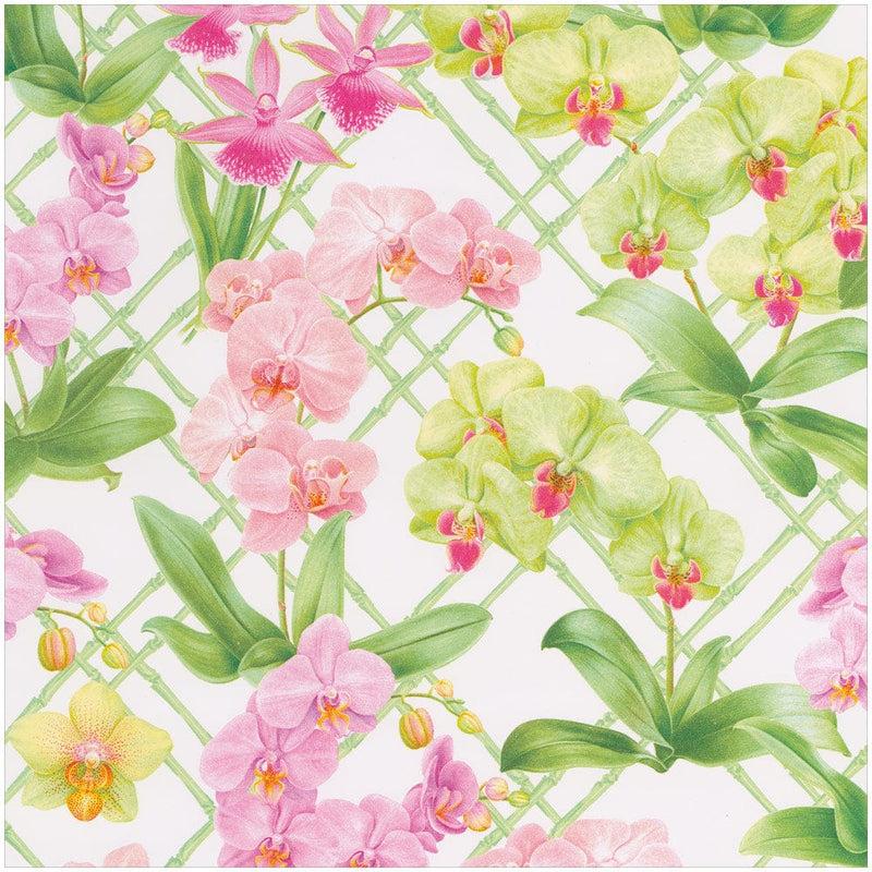 caspari Orchid Conservatory Gift Wrap - One 30" X 8' Roll