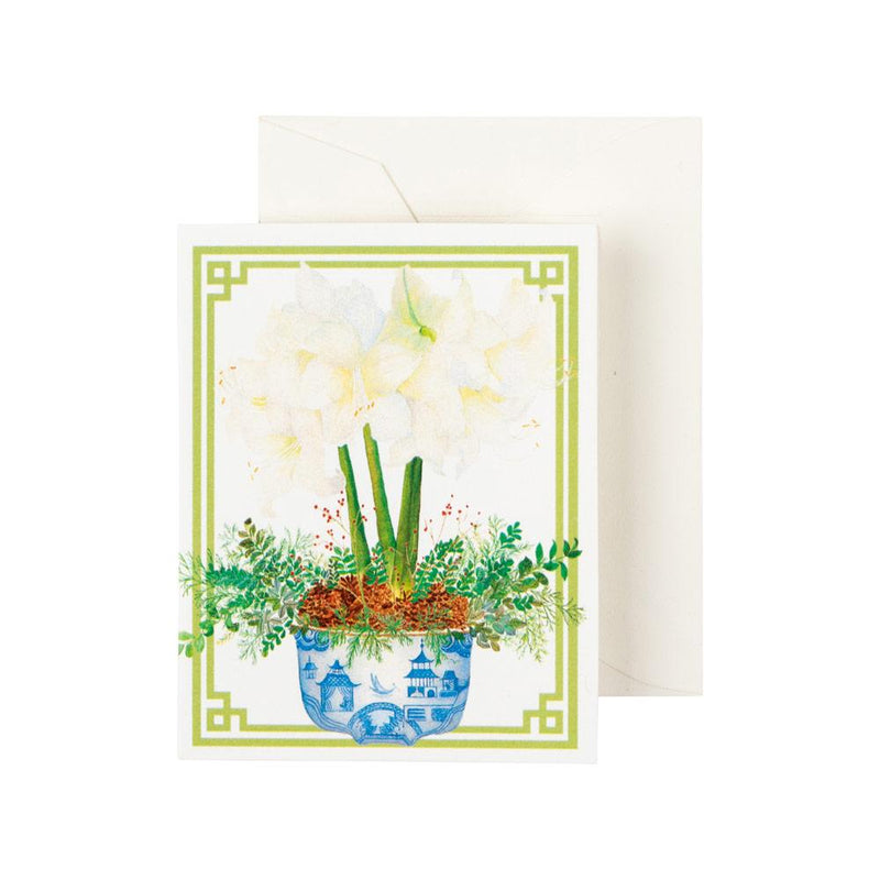 caspari Potted Amaryllis Gift Enclosure Cards in Gold Foil - 4 Mini Cards & 4 Envelopes