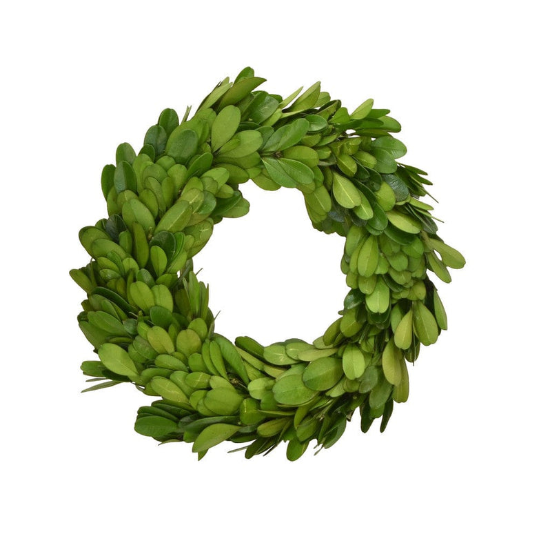 caspari Preserved Boxwood Mini 6" Wreath & Candle Rings - Set of 2
