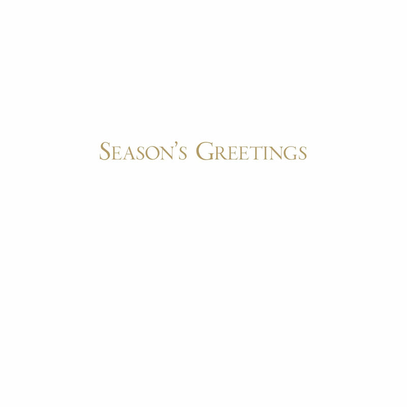 Caspari Spring Snow Over Central Park Large Boxed Christmas Cards - 16 Cards And 16 Envelopes