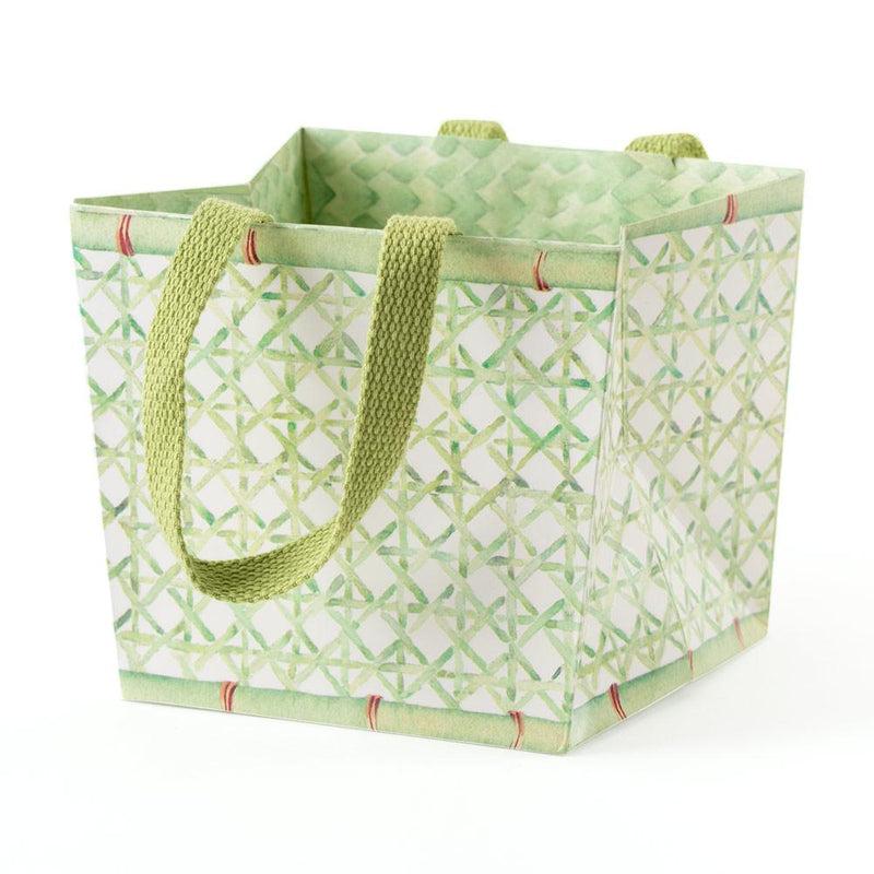 Caspari Trellis Cachepot Small Potted Plant Gift Box - 1 Each