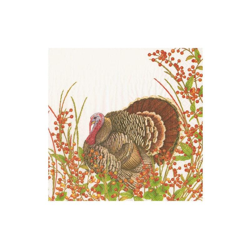 caspari Turkey And Berries Boxed Cocktail Napkins - 40 Per Box