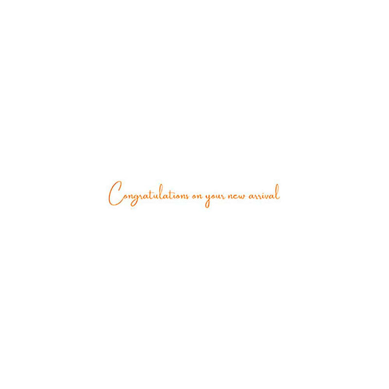 Caspari Baby - Set Of Six Greeting Cards And Envelopes