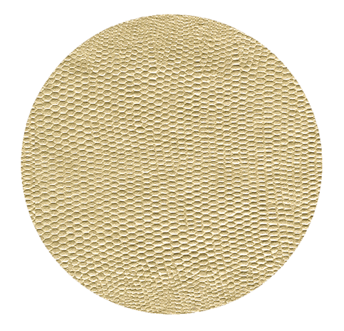 Caspari Platinum Lizard Coaster Round 8-In Felt