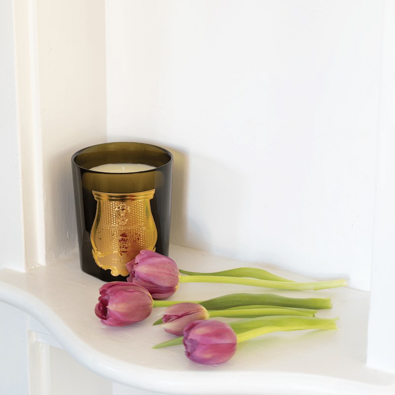 Caspari Trudon Classic Scented Candle - Josephine