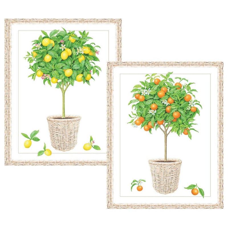 Caspari Citrus Topiaries Assorted Embossed Boxed Note Cards - 10 Note Cards & 10 Envelopes