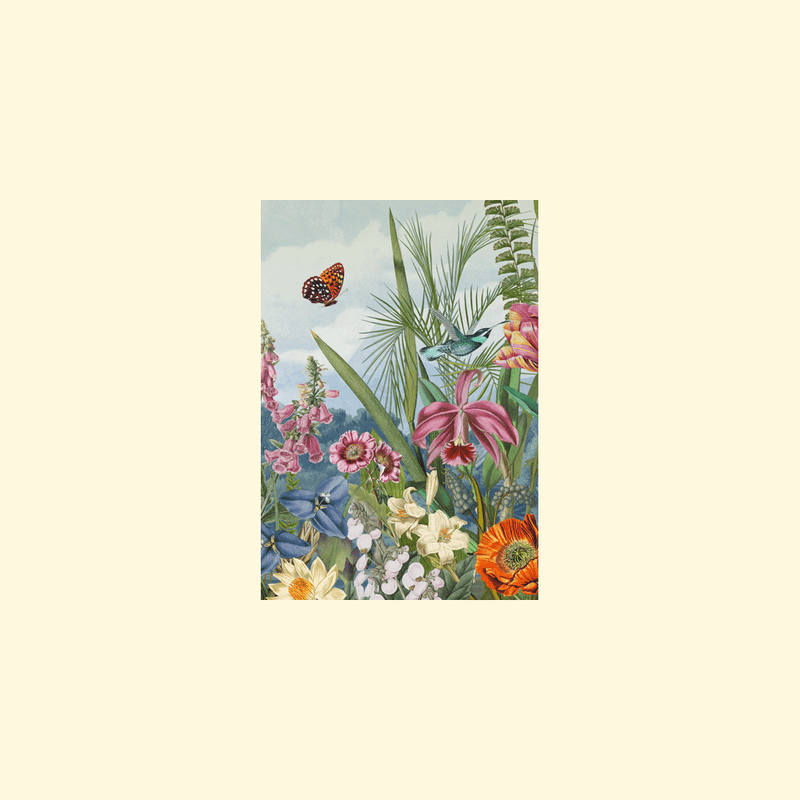 Caspari Floral Blank - Set Of Six Greeting Cards And Envelopes