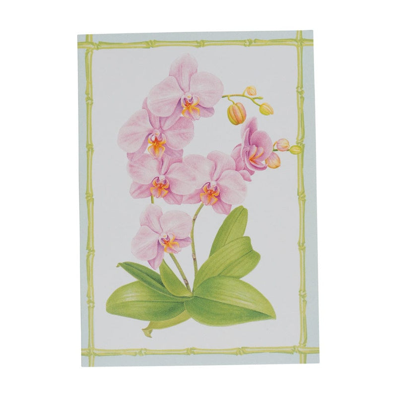 Caspari Orchid Conservatory Boxed Note Cards - 8 Note Cards & 8 Envelopes