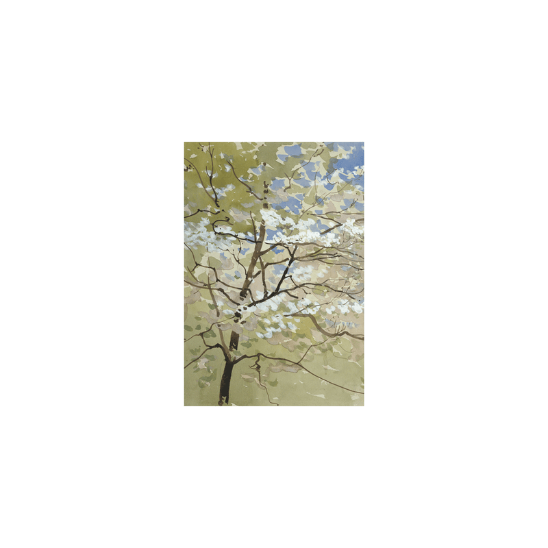 Caspari Sympathy - Set Of Six Greeting Cards And Envelopes